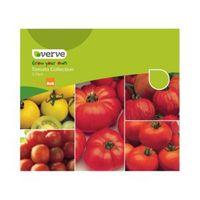 Verve Tomato Seeds