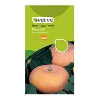 Verve Pumpkin Seeds Hundredweight Mix