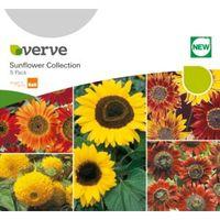 Verve Sunflower Seeds Collection Mix