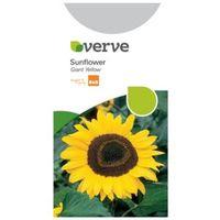 Verve Sunflower Seeds Giant Yellow Mix