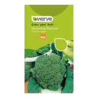 verve broccoli seeds autumn spear mix