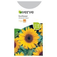 Verve Sunflower Seeds American Giant Mix