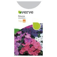 Verve Petunia Seeds F1 Super Hybrid Mix (Grandiflora) Mix