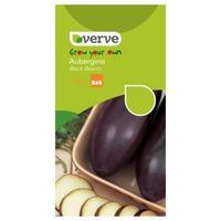 verve aubergine seeds black beauty mix