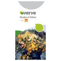 Verve Shades Of Yellow Seeds