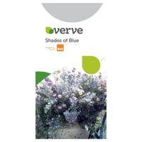 Verve Shades Of Blue Seeds