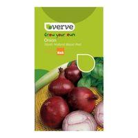 Verve Salad Onion Seeds North Holland Blood Red Redmate Mix