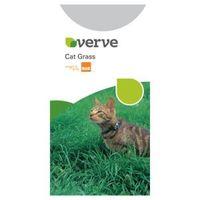 Verve Cat Grass Seeds