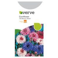 Verve Cornflower Seeds Tall Beauty Mix