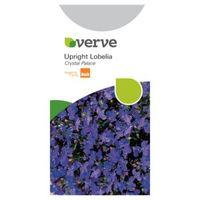 Verve Lobelia Seeds Crystal Palace Mix