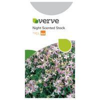 Verve Night Scented Stock Seeds Matthiola Bicornis Mix