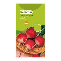 Verve Radish Seeds Sparkler 3 Mix