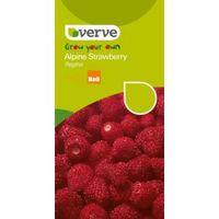 Verve Strawberry Seeds Regina Mix