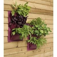 Verti-Plant Wall Planters in Aubergine (Pack of 2) by Burgon and Ball