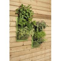 verti plant wall planters in leaf pack of 2 by burgon and ball