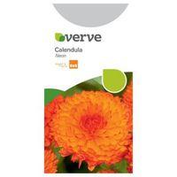 Verve Calendula Seeds Neon Mix