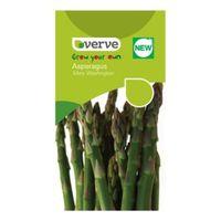Verve Asparagus Pea Seeds Mary Washington Mix