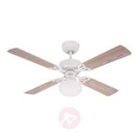 Vegas ceiling fan with light in white/pine