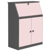 Verona Graphite Pine and Pink Hobby Desk