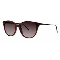 Vera Wang Sunglasses AKIRA BK/CH/TO