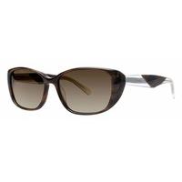 Vera Wang Sunglasses V420 HORN