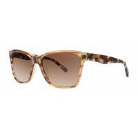 Vera Wang Sunglasses V419 BRWN