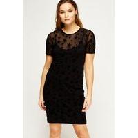 Velveteen Star Mesh Overlay Dress