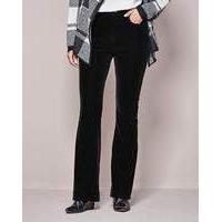 Velvet Bootcut Jean Extra Short