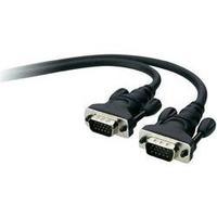 vga cable 1x vga plug 1x vga plug 3 m black belkin