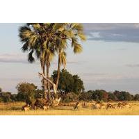 Victoria Falls and Hwange National Park Package