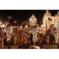 Viewing of Kandy Esala Perahara