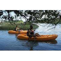 virginia beach 1 hour single kayak rentals