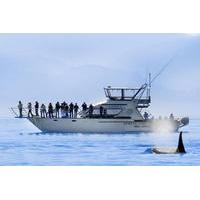 Victoria Whale Watch Tour