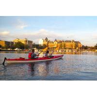 Victoria Harbour Sunset Kayak Tour