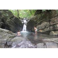 Viator Exclusive: Early Access to El Yunque National Forest Park with a Certified Tour Guide