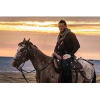 Virginia Beach Horseback Ride