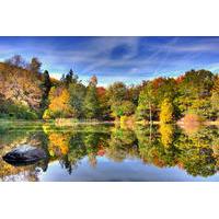 Vitosha Mountain 3-Hour Hiking Tour from Sofia