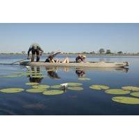 Victoria Falls To Okavango Delta Tour