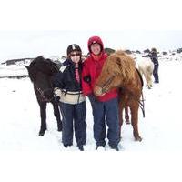 viking horse riding tour and blue lagoon from reykjavik