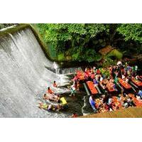 Villa Escudero Plantation Tour with Lunch