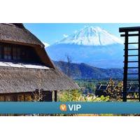 Viator VIP: Mt Fuji Private Tour Including Exclusive Visit with Priests at Sengen Shrine