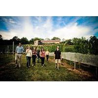 VIP Private Wine Tour with Lunch from Harrisburg