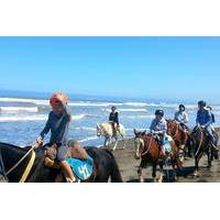 Viña del Mar and Valparaiso Private Tour Including Horseriding
