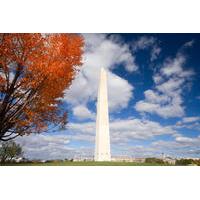 viator exclusive washington monument reserved admission with dc landma ...