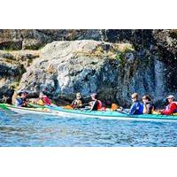 victoria harbour kayak tour