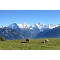 VIP Interlaken Sightseeing Tour with Personal guide