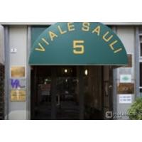 VIALE SAULI