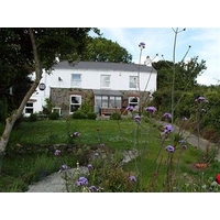 Vine Cottage - B&B