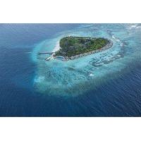 Vivanta by Taj Coral Reef, Maldives