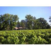 Vineyard Villa Bed & Breakfast